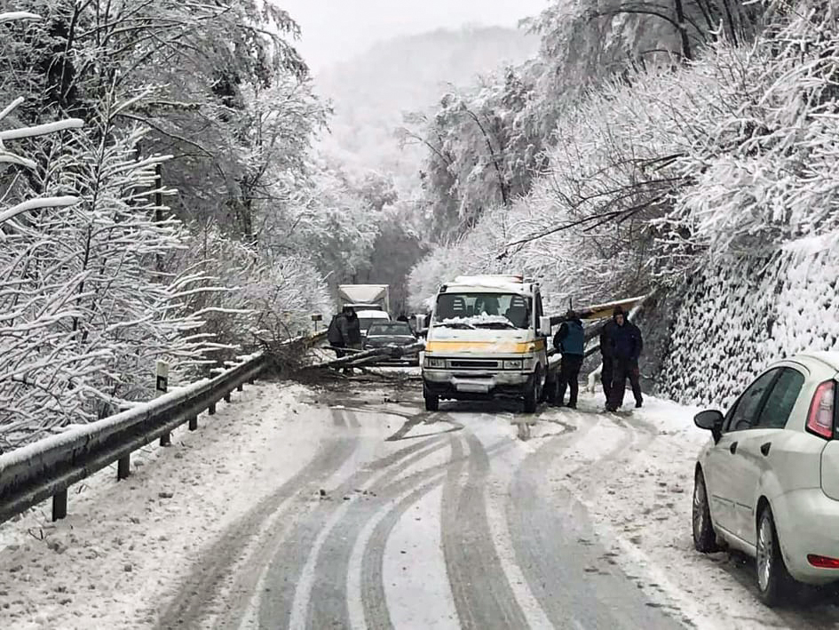 Snehová kalamita na východnom Slovensku fotografie Fotka 1 z 11