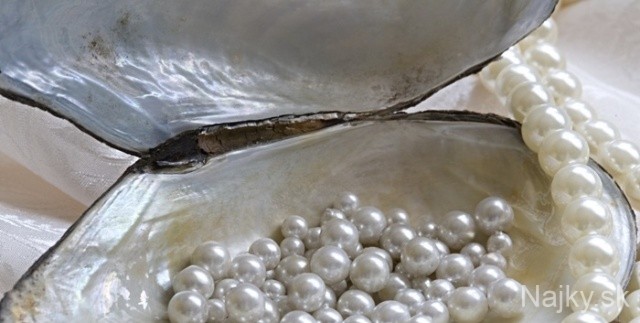 Oyster and pearls