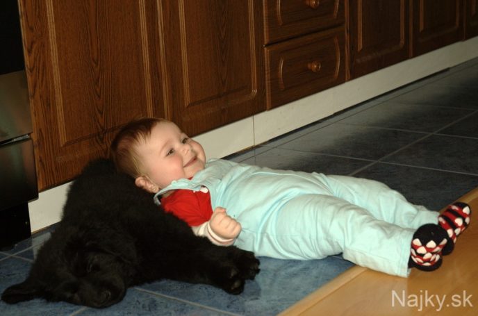 Dogs-and-Kids-24
