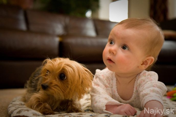 Dogs-and-Kids-25
