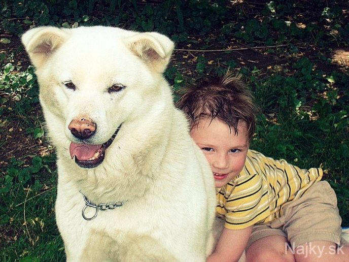 Dogs-and-Kids-30