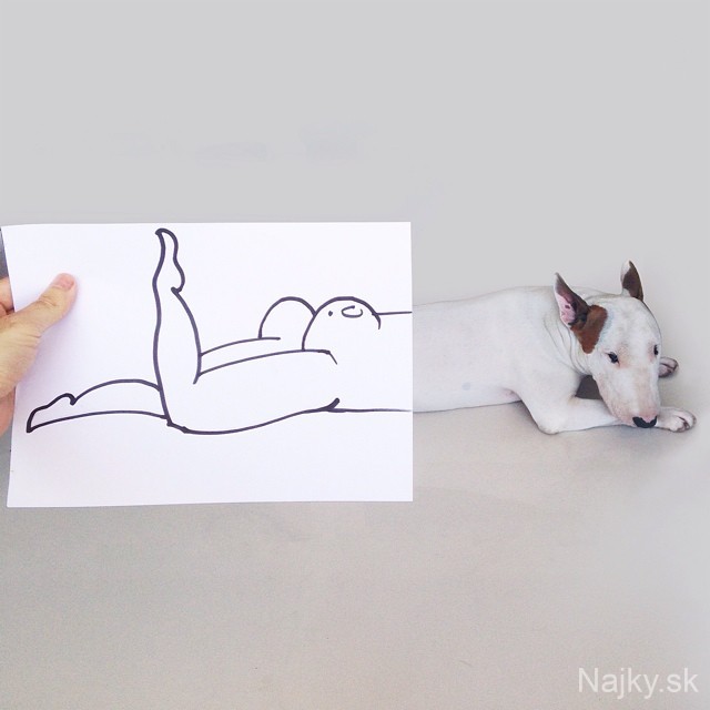 jimmy-choo-bull-terrier-illustrations-rafael-mantesso-3