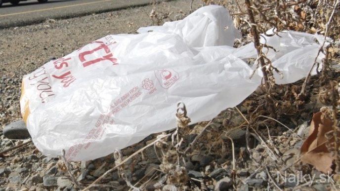 Plastic Bag Ban