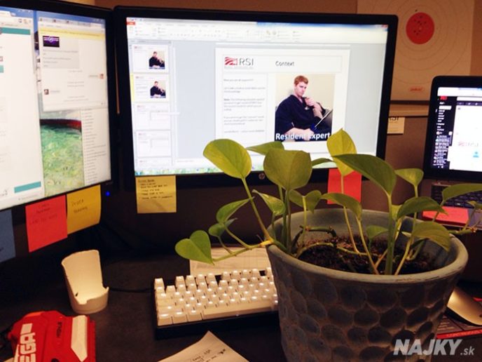 guy-babysits-coworkers-plant-19