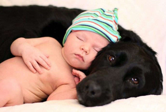 small-babies-children-big-dogs-301__880 - kópia