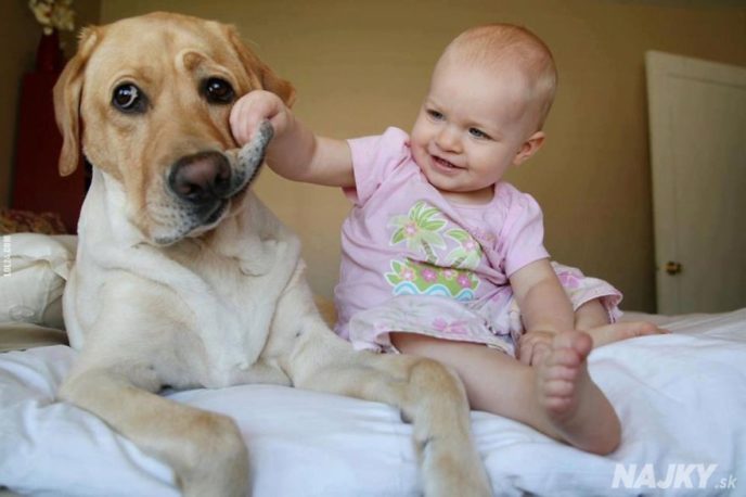 small-babies-children-big-dogs-34__880 - kópia