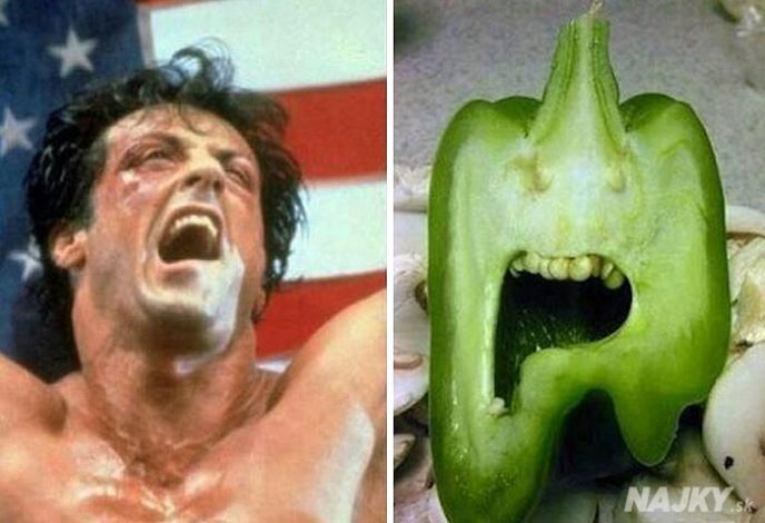 things-that-look-similar-to-each-other-sylvester-stallone-paprika1__700