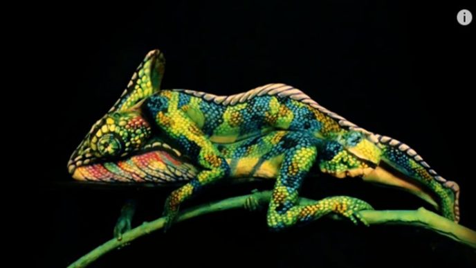 chameleón