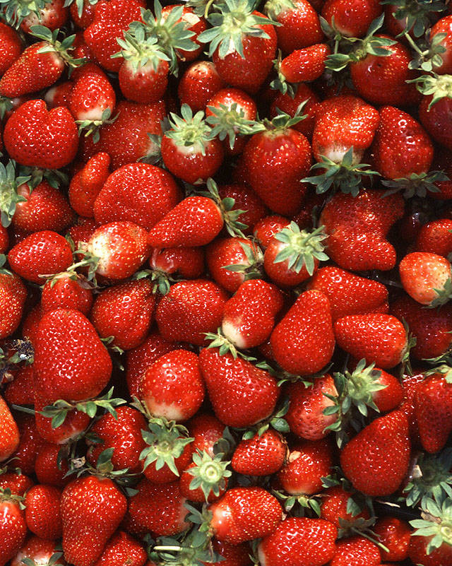http://www.lifehack.org/articles/lifestyle/10-amazing-benefits-strawberries-that-you-probably-never-knew.html