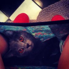 23-Funny-Cats-that-Love-Underwear-in-the-Bathroom-7__700