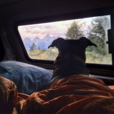 I-Live-in-My-Truck-with-My-Dog-and-Travel-Across-the-Country-1