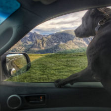 I-Live-in-My-Truck-with-My-Dog-and-Travel-Across-the-Country2__880