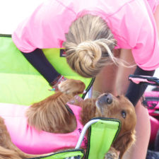 Two-Sisters-With-the-Same-Terminal-Illness-Catch-Waves-of-Support-With-my-Surfing-Dog10__880