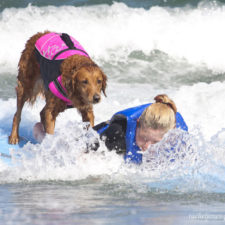 Two-Sisters-With-the-Same-Terminal-Illness-Catch-Waves-of-Support-With-my-Surfing-Dog14__880