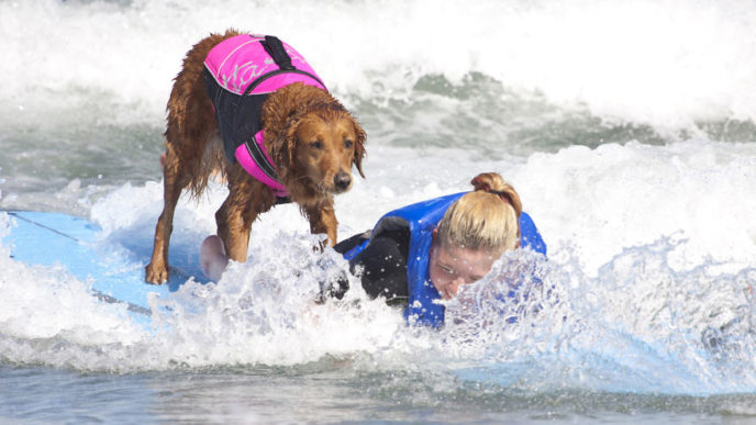 Two-Sisters-With-the-Same-Terminal-Illness-Catch-Waves-of-Support-With-my-Surfing-Dog14__880
