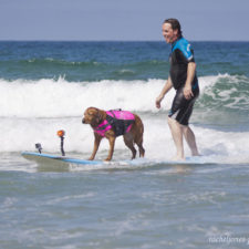Two-Sisters-With-the-Same-Terminal-Illness-Catch-Waves-of-Support-With-my-Surfing-Dog8__880