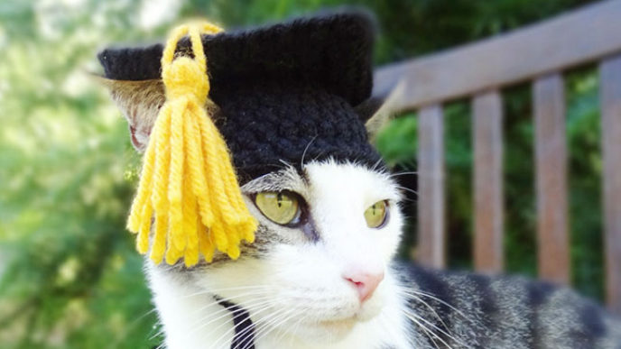 crochet-handmade-hats-pets-iheartneedlework-17__700