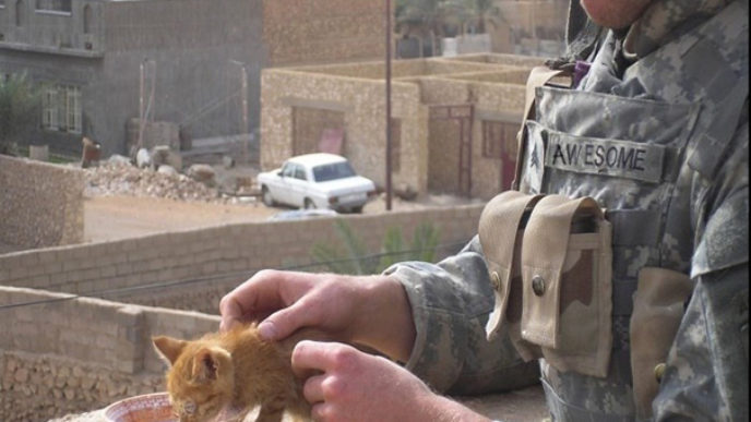 soldier-with-cat-15__605