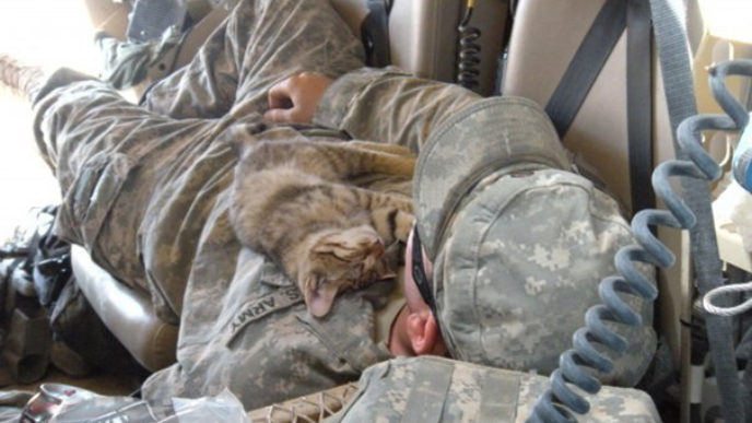 soldier-with-cat-9__605