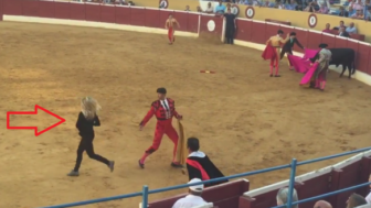 PETA-Supporter-Rushes-to-Assistance-of-Dying-Bull-in-Albacete-Bullring-590x328