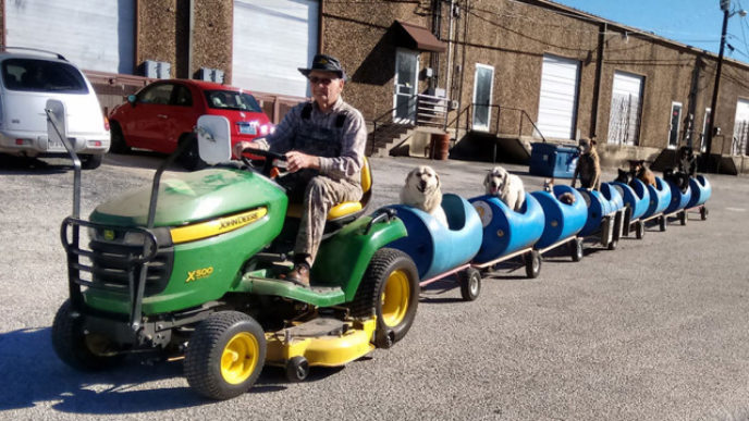 rescued-dog-train-tractor-stray-eugene-bostick-7