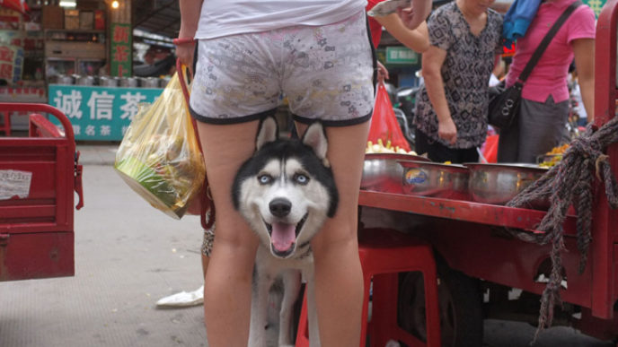 self-taught-perfectly-timed-street-photography-china-tao-liu-32