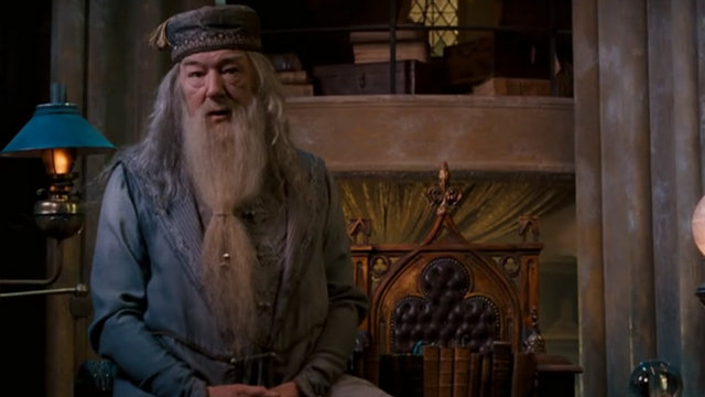 Dumbledore, Harry Potter