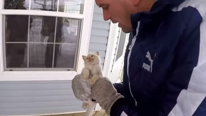 Frozen kitten rescued adopted bingham family lazarus 4.jpg