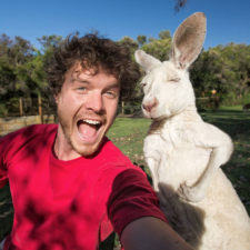 Funny animal selfies allan dixon 11.jpg