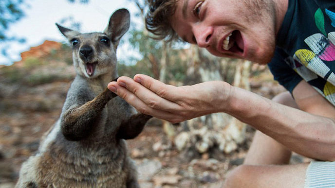 Funny animal selfies allan dixon 21.jpg