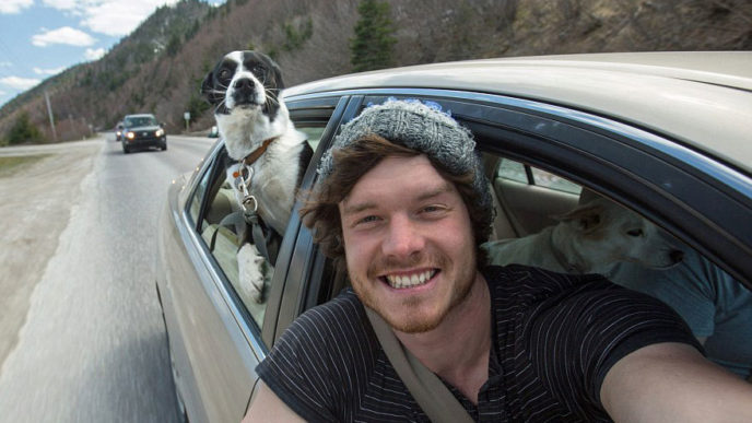 Funny animal selfies allan dixon 23.jpg
