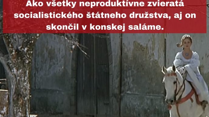 Slavny kon menom jurasek sa pocty po skonceni kariery nedockal skor naopak. ako vsetky neproduktivne zvierata socialistickeho statneho druzstva aj on skoncil v konskej salame..jpg