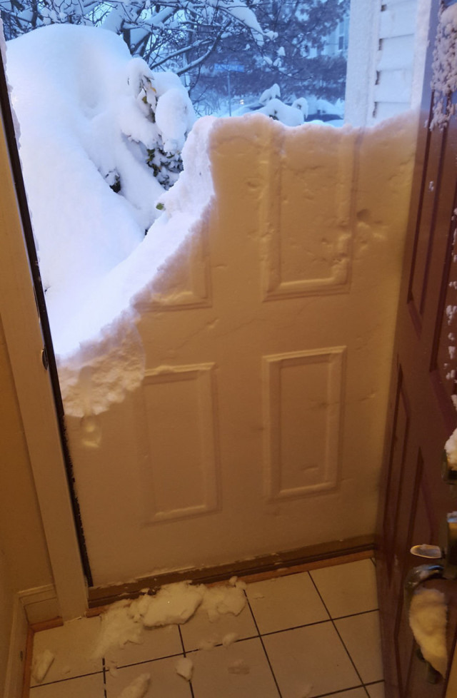 15 pics that perfectly capture how insane blizzard2016 ls 5__880.jpg