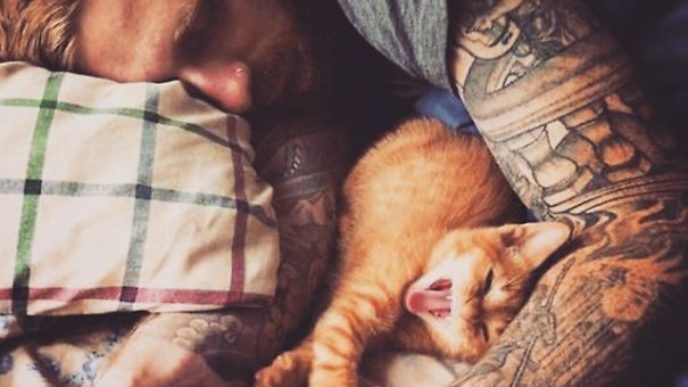 Hot dudes with kittens instagram 431__605.jpg