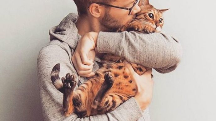 Hot dudes with kittens instagram 461__605.jpg