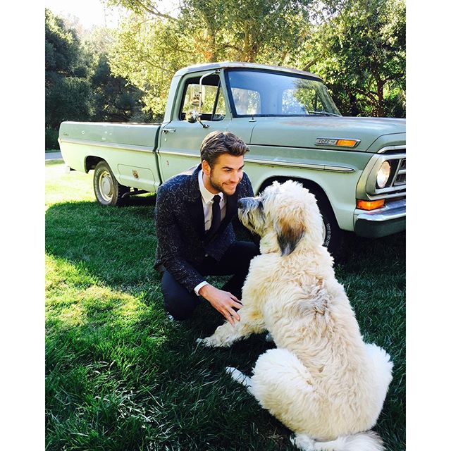 Liam Hemsworth s chlpáčom.
