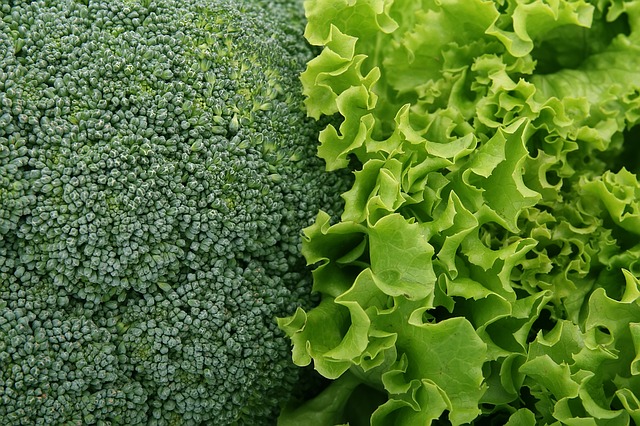 Brokolica.jpg