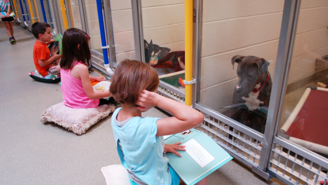 Kids read shelter dogs human society of missouri 3.jpg