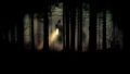 Forest 704077_640.jpg