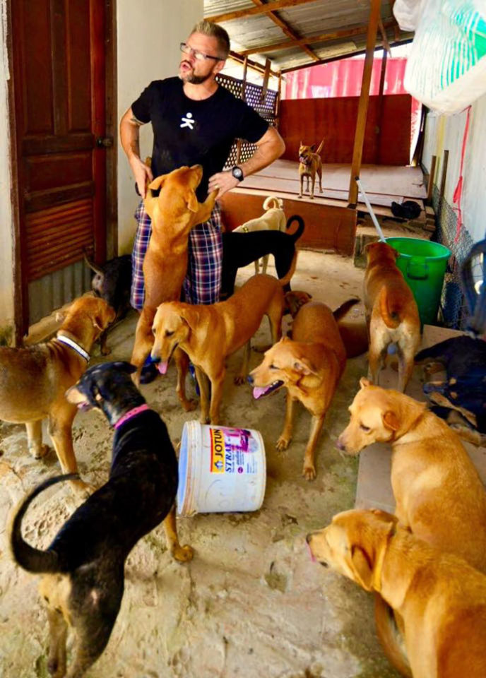 Man feeds 80 homeless dogs michael baines thailand 13.jpg
