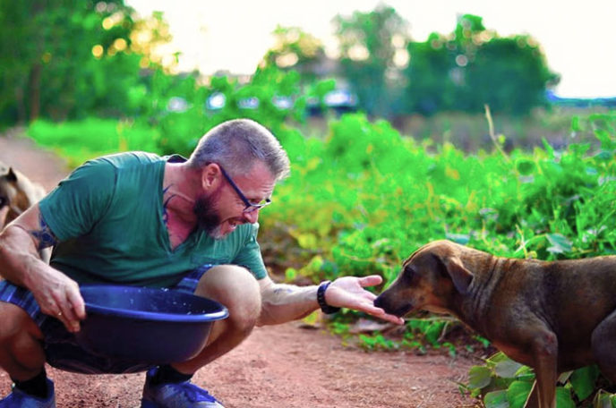 Man feeds 80 homeless dogs michael baines thailand 38.jpg