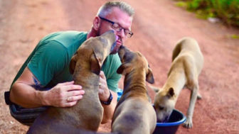 Man feeds 80 homeless dogs michael baines thailand 40.jpg
