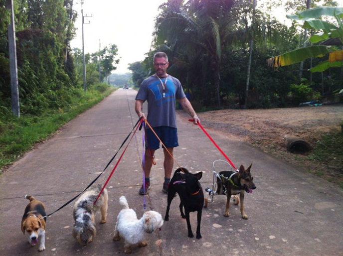 Man feeds 80 homeless dogs michael baines thailand 5.jpg