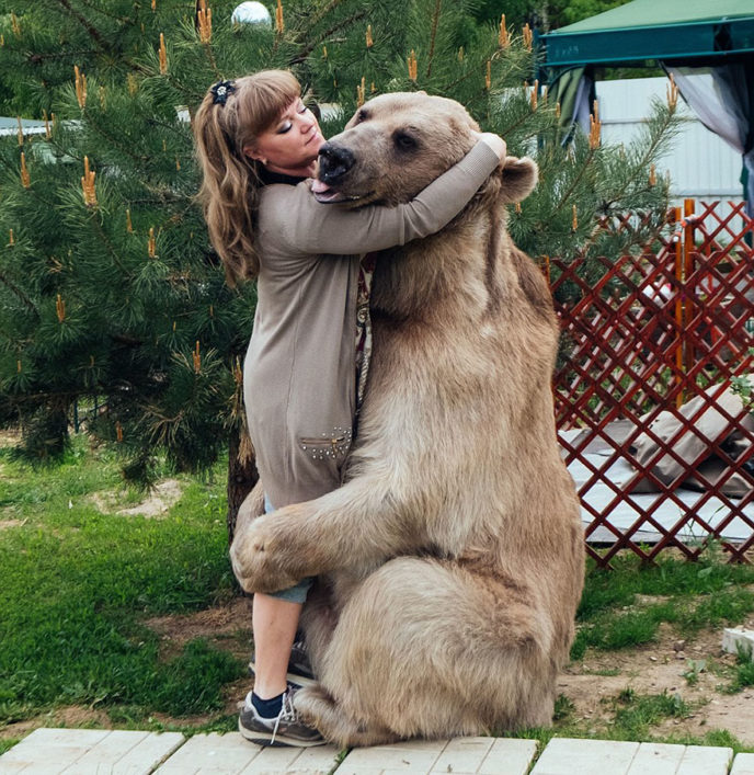 Adopted bear russian family stepan a13.jpg