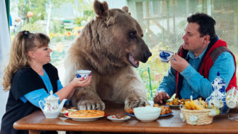 Adopted bear russian family stepan a20.jpg