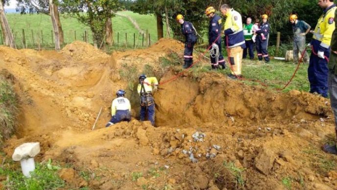 Horserescue_j 850x478.jpg