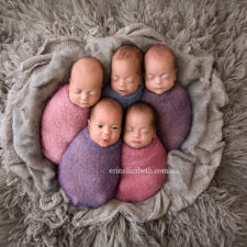 Newborn baby photoshoot quintuplets kim tucci erin elizabeth hoskins 7.jpg