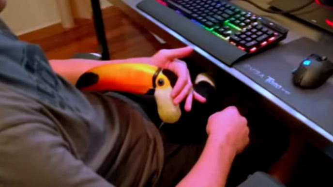 Tukan_youtube.com_.jpg