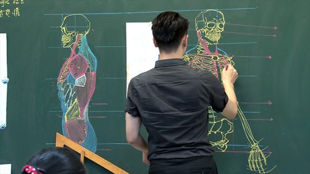 Chinese teacher anatomical chalkboard drawings 2.jpg