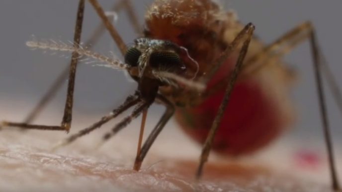 Horizon33_2016 6 10_14 2 10.jpg